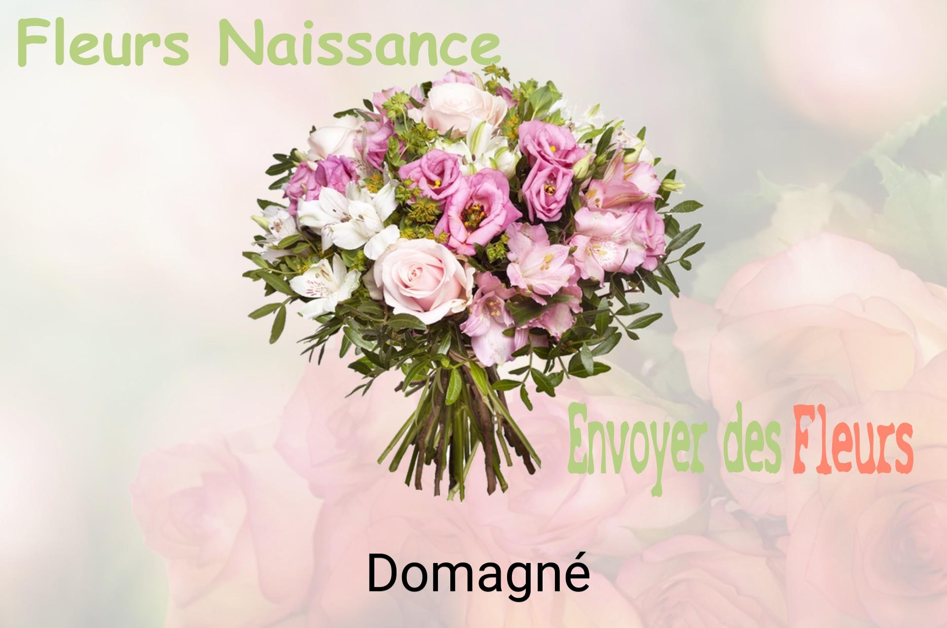 Bouquet de fleurs de naissance livré à Domagné